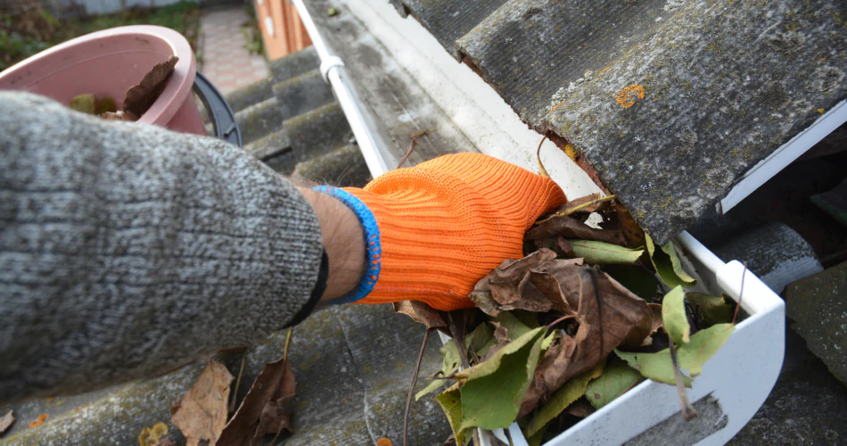 Gutter Cleaning Gutter Cleaning